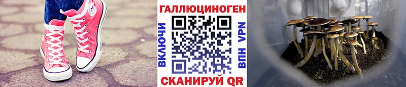Галлюциногенные грибы прущие грибы  цена наркотик  Мелеуз 